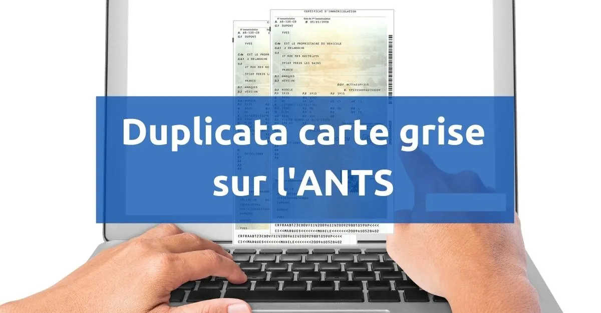 ants duplicata carte grise