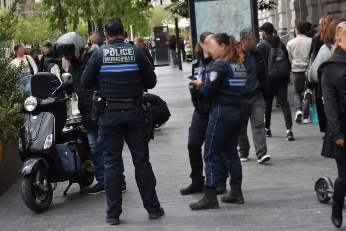 Contrôle routier et carte grise